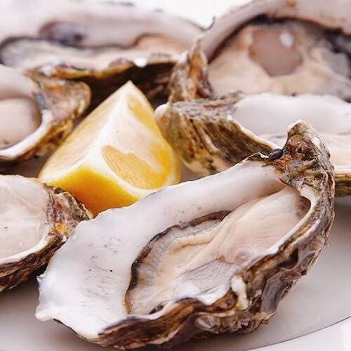 生蚝自助餐爆料视频教程,视频揭秘美味生蚝制作全过程