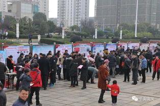 安义霸凌学生爆料案件最新,受害者勇敢发声，揭开校园暴力黑幕